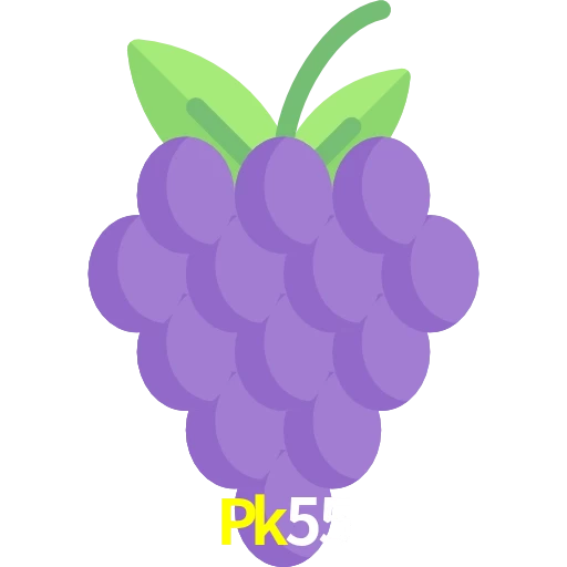 Pk55